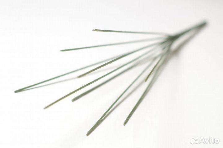 Стебель без листьев (подбукетник), 9 веточек, 34 см, 1 шт