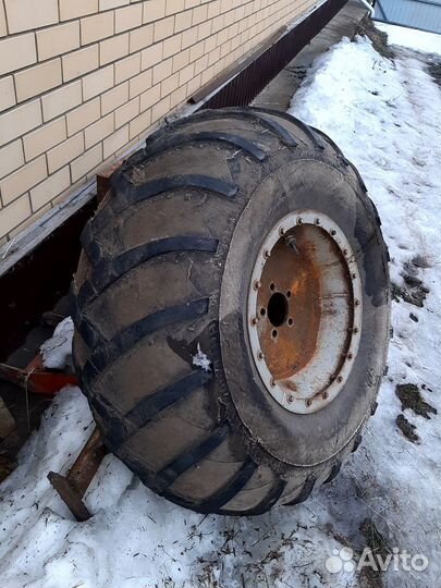 Ободрыши от урал лаптежник