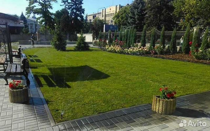 Рулонный газон /продажа/укладка