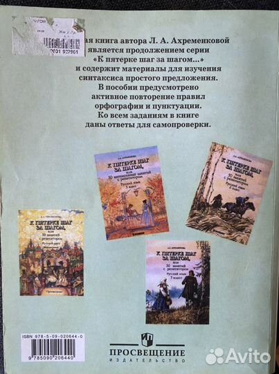 Русский язык (репетитор для школьника)