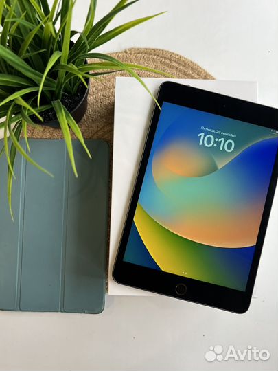iPad Mini 5 Wi-Fi & Cellular рст