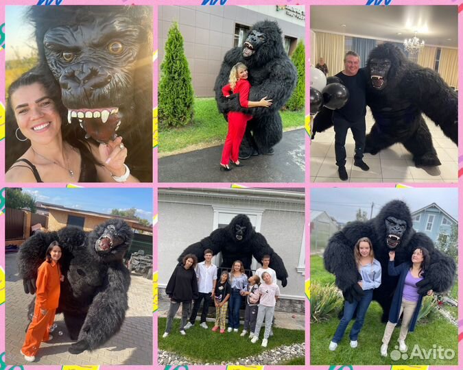 Мишка Поздравление белый медведь мишка зайка панда