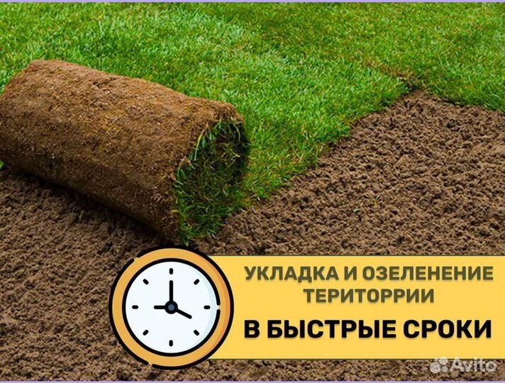 Рулонный газон спортивный под ключ