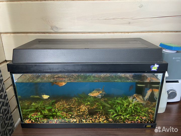 Аквариум 60л