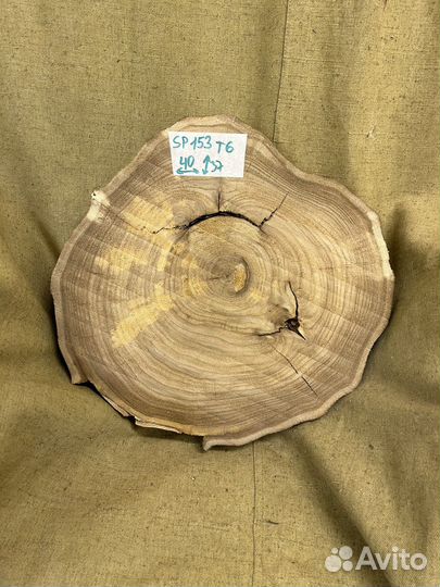 Спил карагача