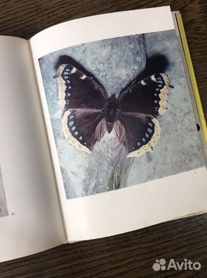Книги о бабочках и природе