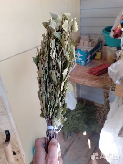 Березовые веники