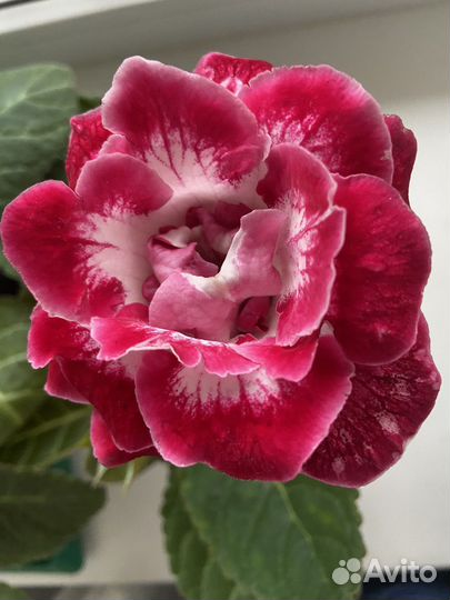 Детки,листочки