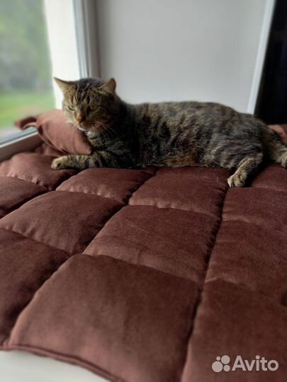 Лежанка матрасик