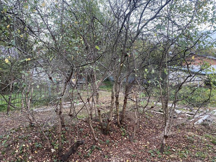 Дом 68,9 м² на участке 12,6 сот.