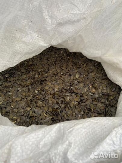 Тыквенные семечки