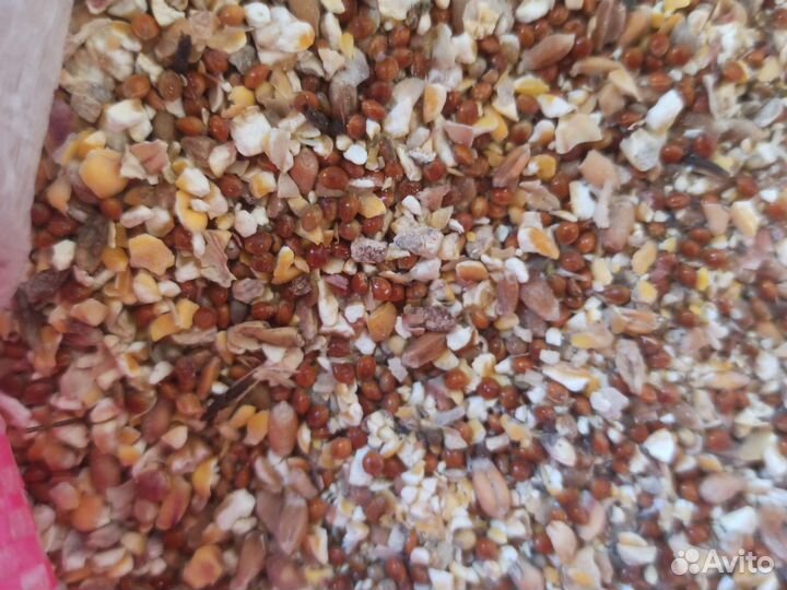 Зерносмесь для кур