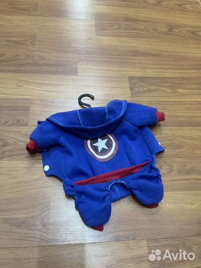 Одежда для собак