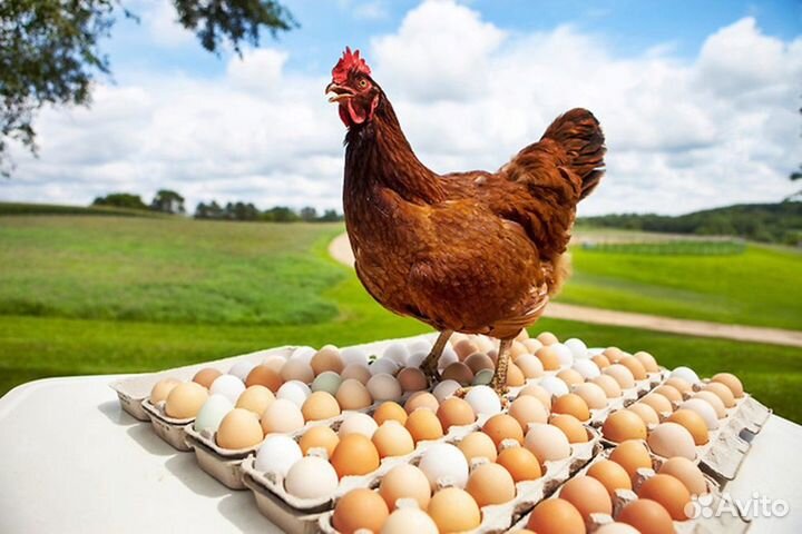 Подсобный рабочий