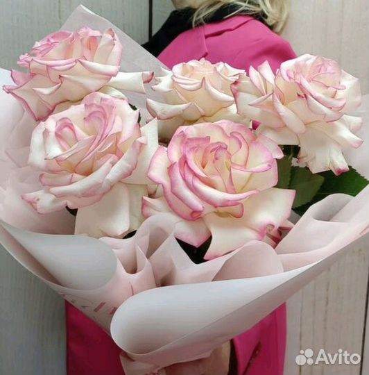 Розы Французские Букет Доставка Купить