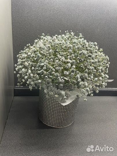 Гипсофила живые цветы подарок