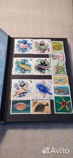 Почтовые марки СССР