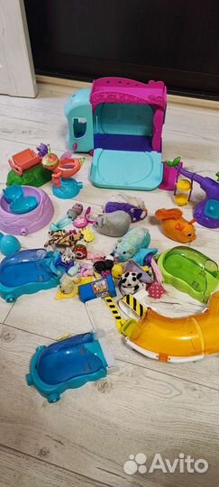 Хомячки с аксессуарамии автобусом