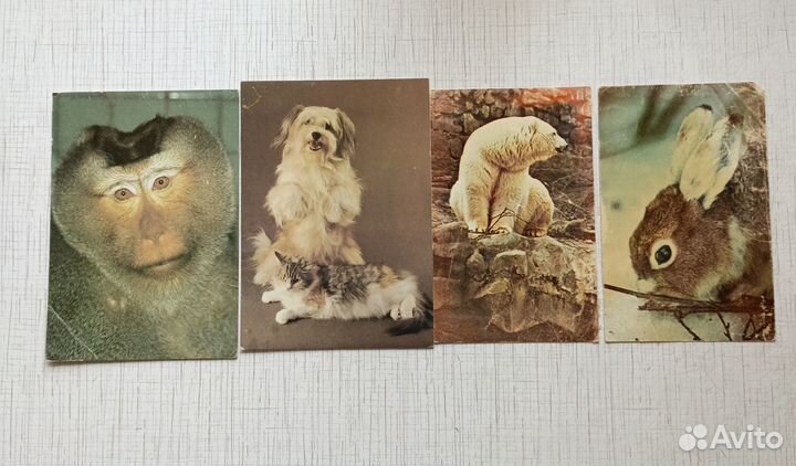 Наборы открыток, открытки СССР