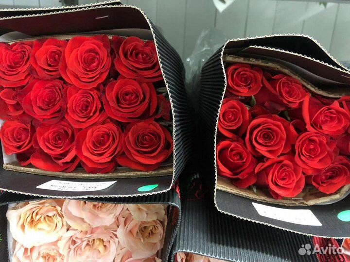 Розы мелкий опт