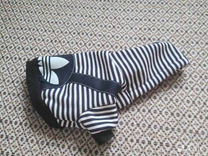 Одежда для маленьких собак