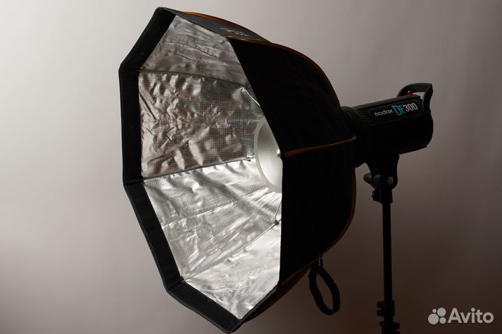Godox DE300+Godox DM-16