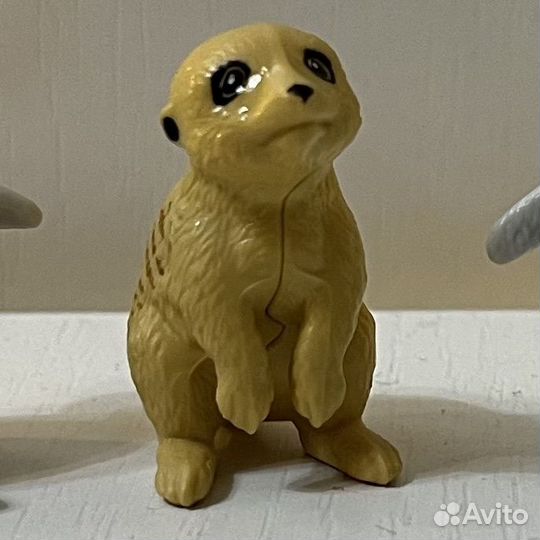 Киндер натунс 2025