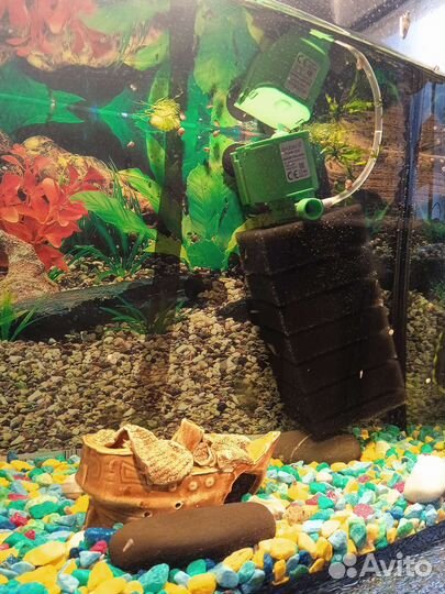 Аквариум