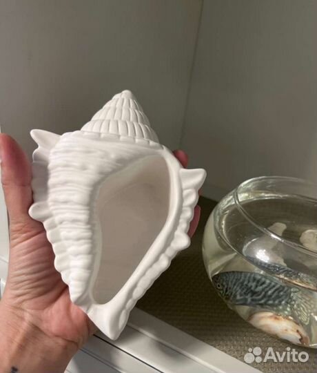 Ракушка/декор