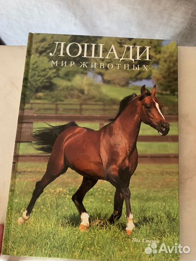 Серия книг о животных