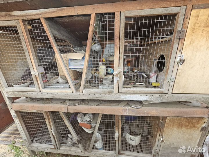 Крольчатник