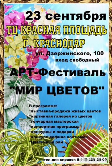 Растения для дома