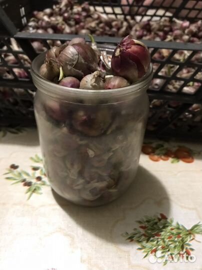 Многоярусный лук