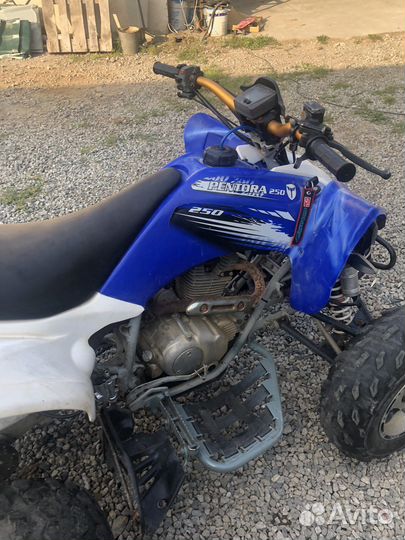 Продам реплику Yamaha raptor 250