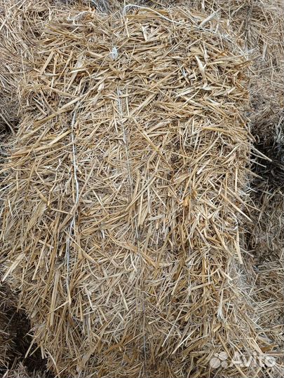 Сено солома в тюках