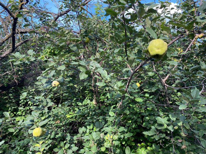 Дача 80 м² на участке 7,6 сот.