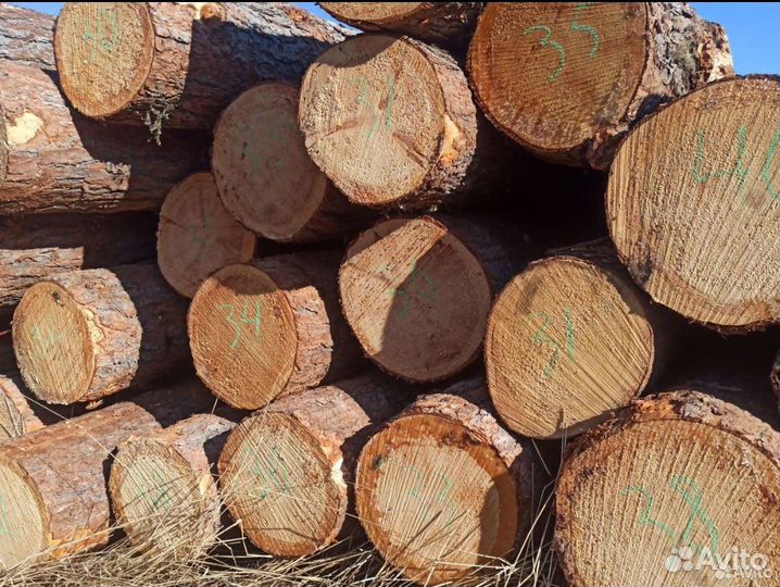 Кедр для сруба