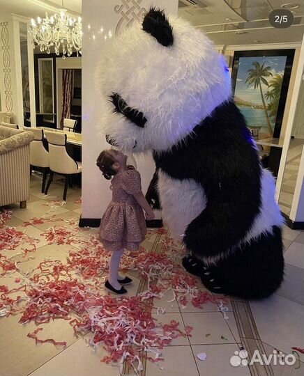 Мишка панда 2,60 м «живая открытка»