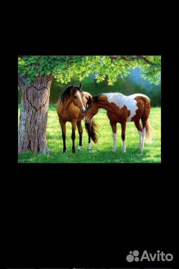 Алмазная вышивка(мозайка)