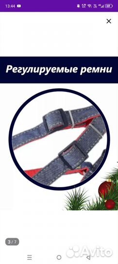 Ошейник, поводок, шлейка