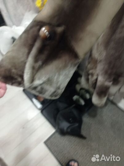 Шуба мутоновая 52 54