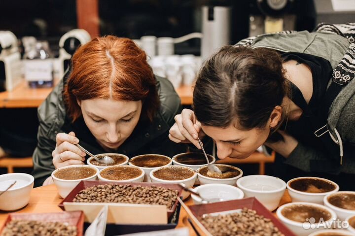 Экскурсии по Брянску. Экскурсовод, гид