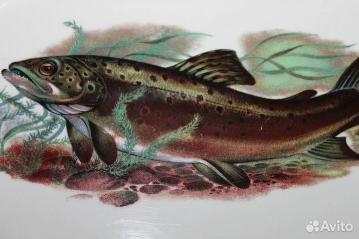 Блюдо-большое