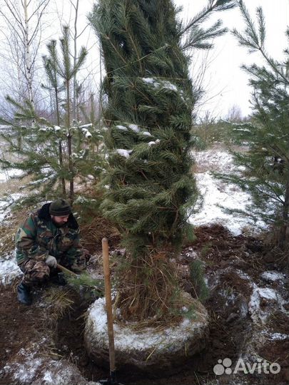 Крупномеры с доставкой опт