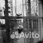 Paul McCartney(2005) Chaos and Creation.CD диск