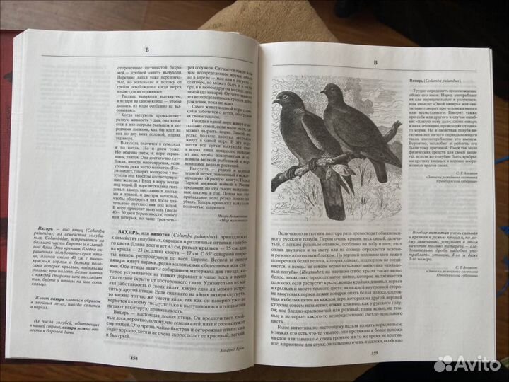 Русская охота Сабанеев