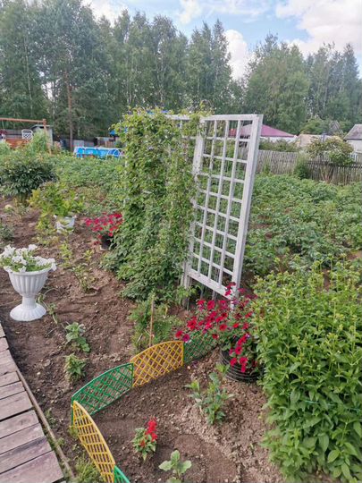 Дача 40 м² на участке 9 сот.