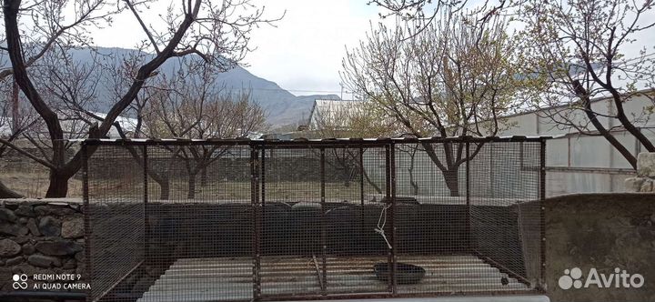 Клетки для кур