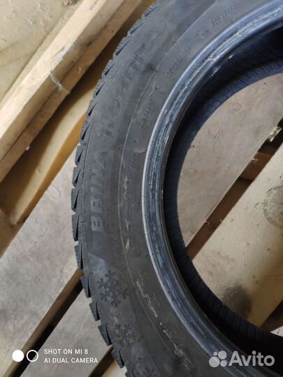 Viatti Brina Nordico V-522 205/55 R16