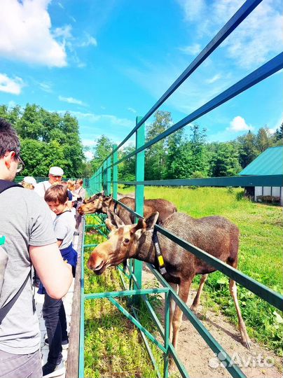Тур в Ярославль Кострому по Золотому Кольцу 2 дня